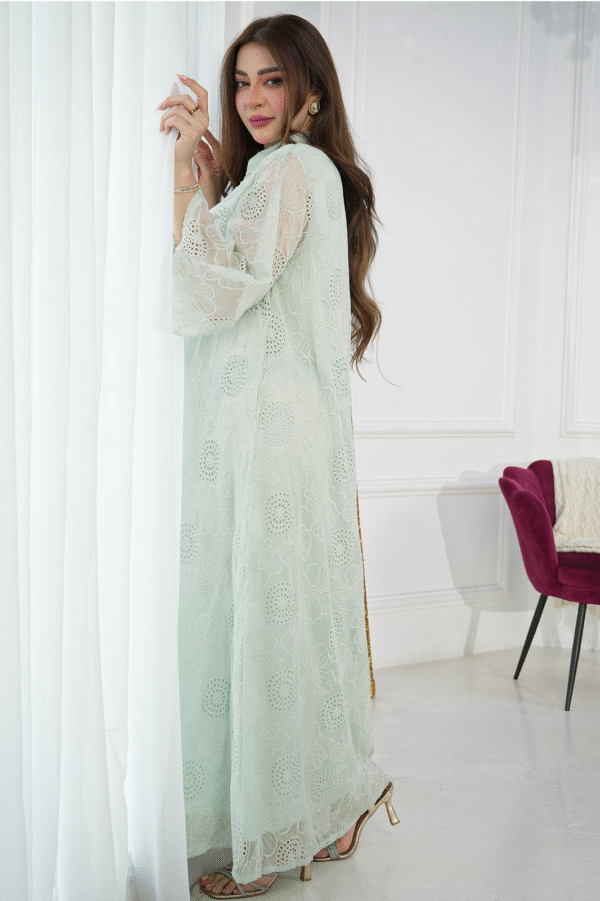 ⁦فستان تيفاني بلياقه و أكمام و سيعه⁩ - الصورة ⁦7⁩